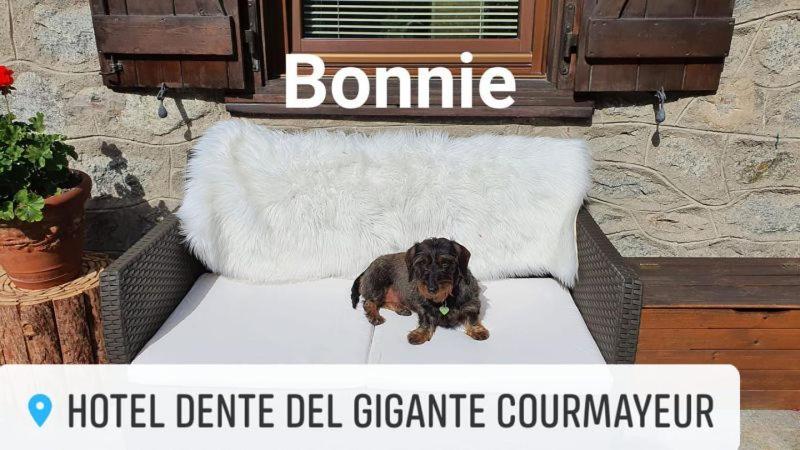 Hotel Dente Del Gigante Курмайор Экстерьер фото